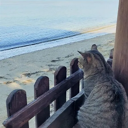 Niko's - Beautiful Sea View ! 公寓 Peraía